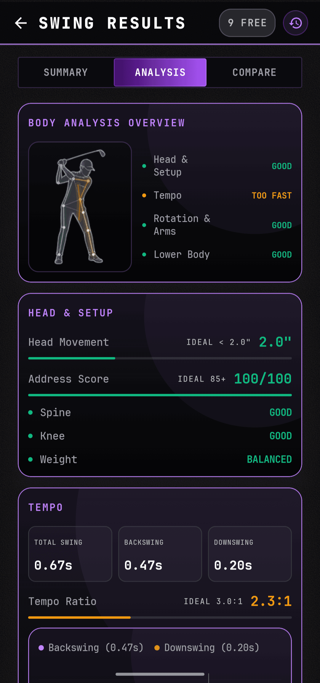 CaddieFlow swing analysis screen